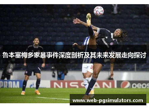 鲁本塞梅多家暴事件深度剖析及其未来发展走向探讨